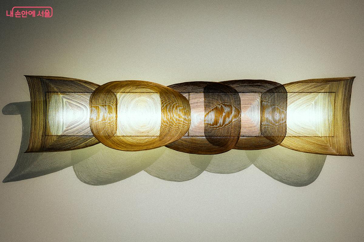 갈색 말총으로 제작한 정다혜 작가의 섬세한 작품 <Drift as you are> ©김아름