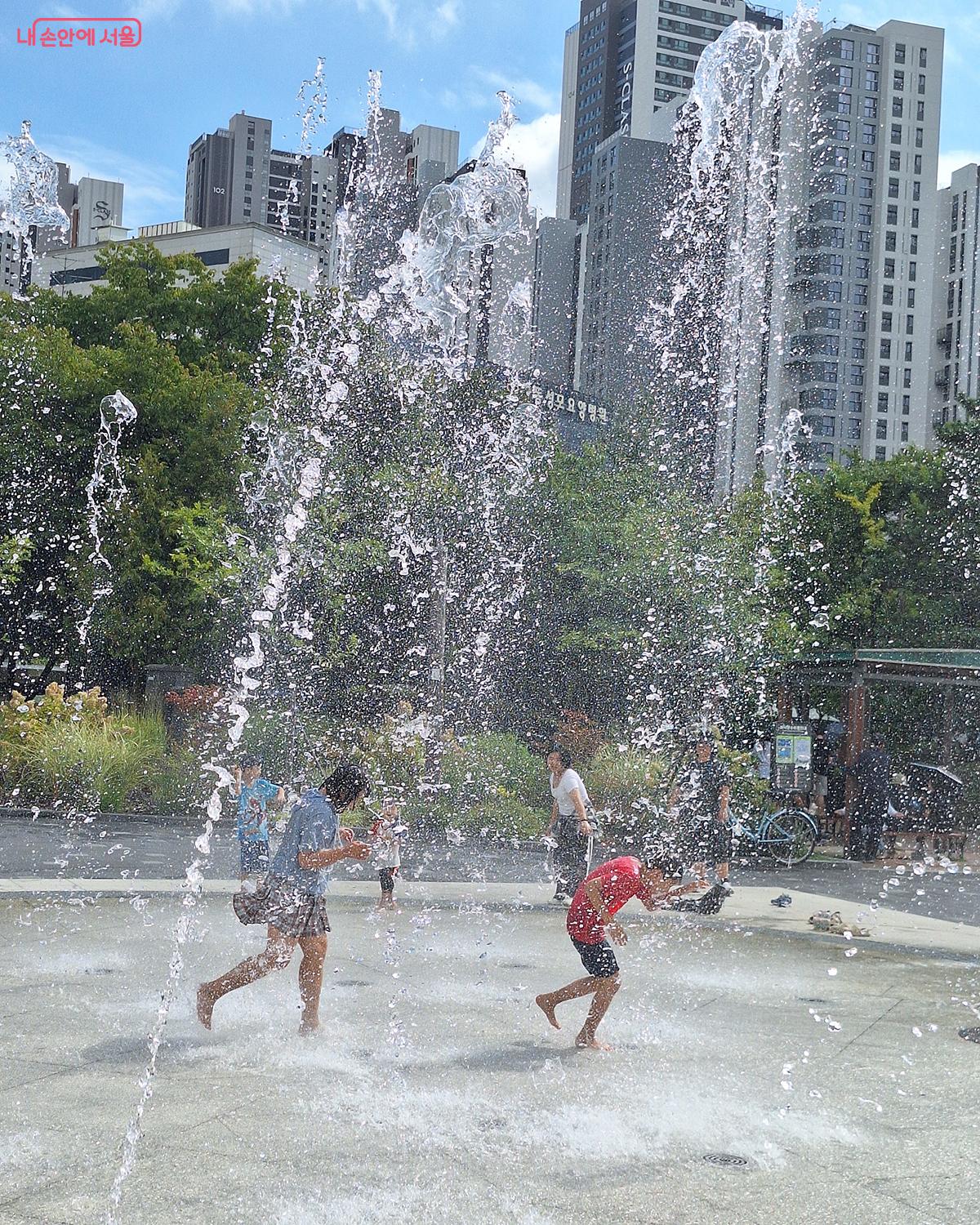 올해부터 개장한 바닥분수의 시원한 물줄기 속에서 뛰노는 아이들의 환한 얼굴도 놓칠 수 없는 장면이다. 