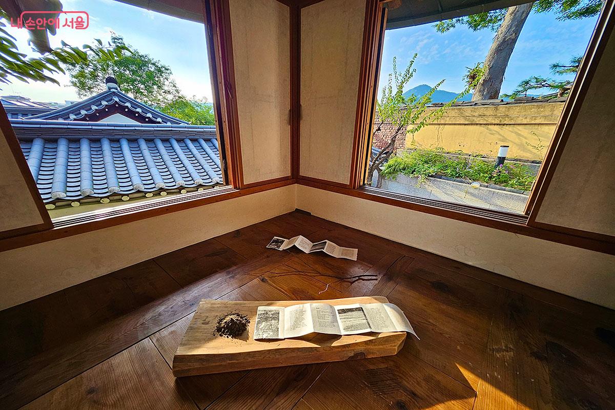 천변만화가 ‘미기후의 자리’를 통해 고유한 미기후의 흔적을 드러낸다. ©이정민