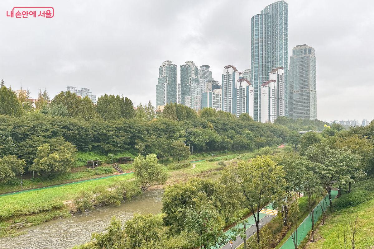 옥상에서 바라본 양재천의 풍경 ©김재형