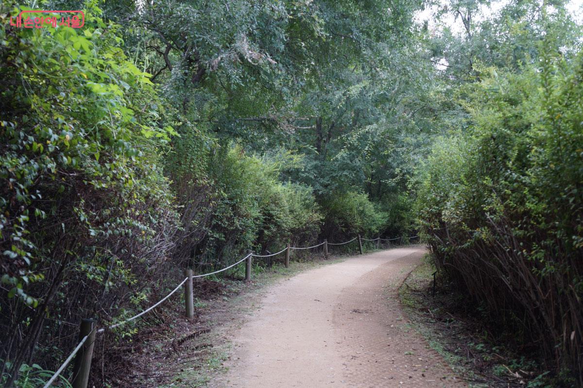 맨발로 산책하기도 좋은 산책로 ©홍혜수