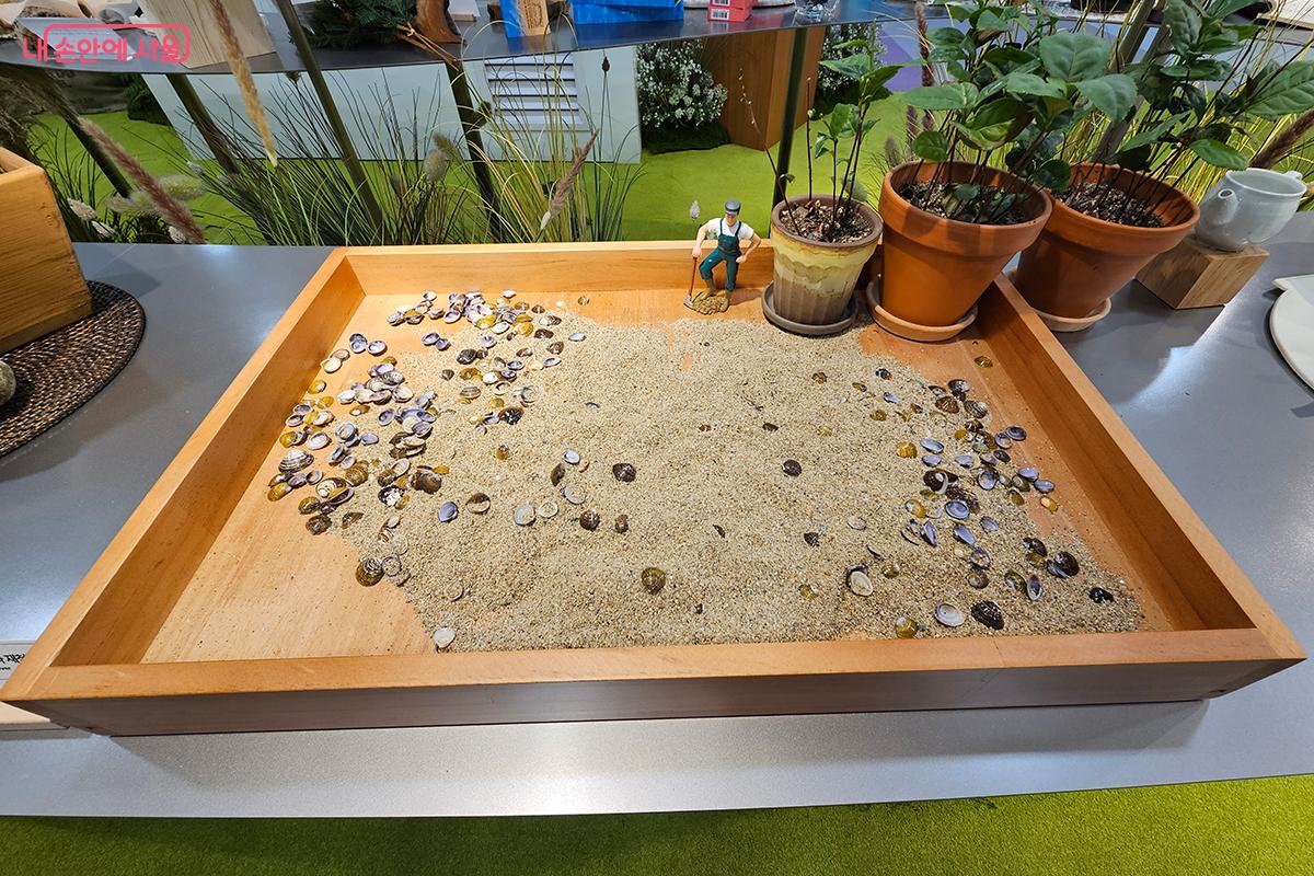 고운 모래 위에 놓인 반짝이는 조개와 재첩이 남도의 강가를 그대로 옮겨온 듯하다. ©이혜숙