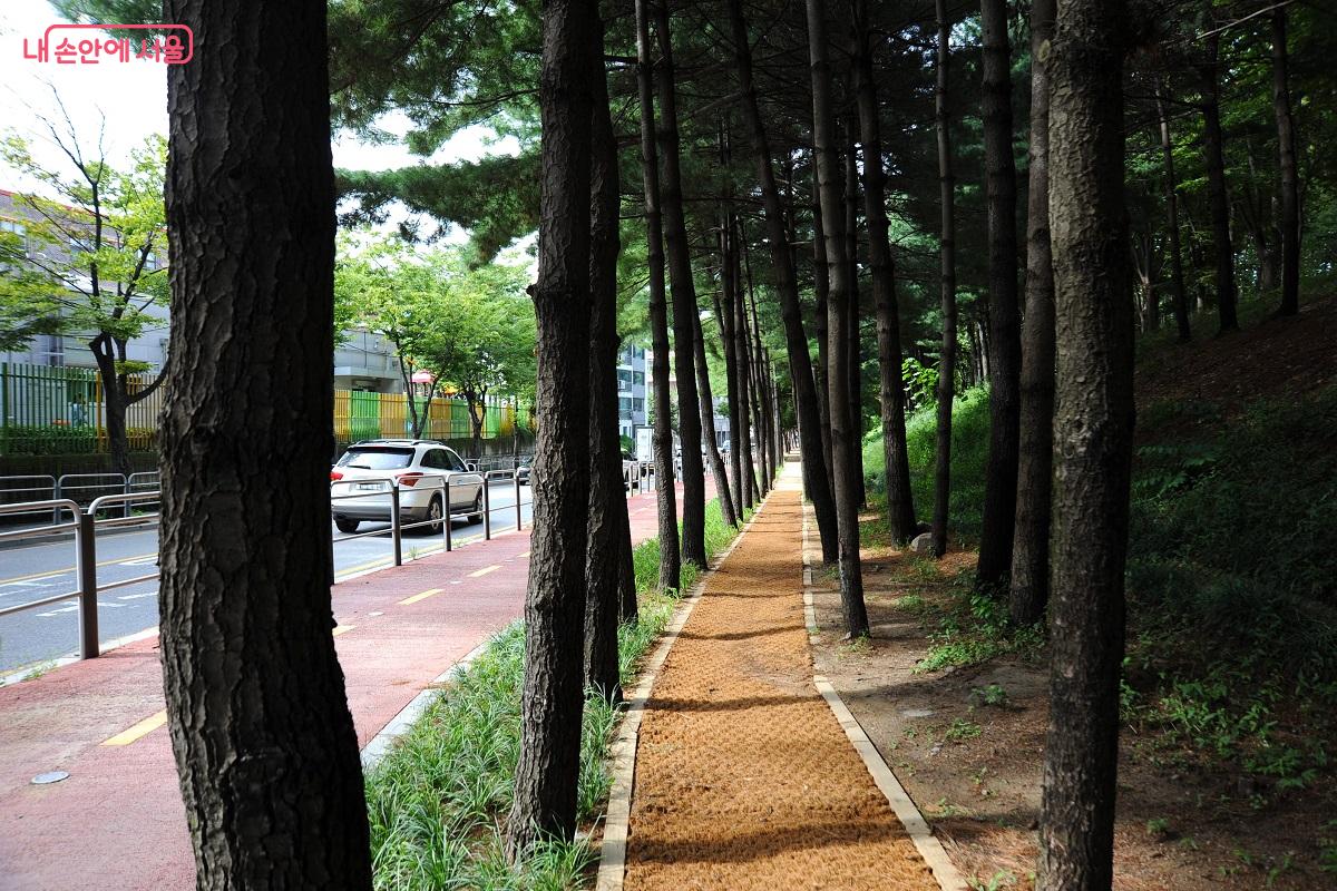 산책로에도 필요에 따라 야자 매트를 깔아 걷기 좋은 길을 조성했다. &copy;조수봉