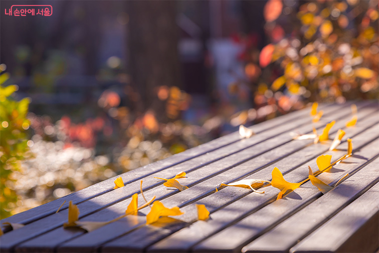 가을이 오면 가장 많은 사람들이 느끼는 감정 중 하나가 공허함이다.