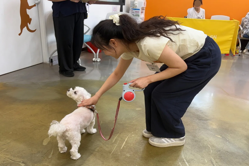 자주 짖는 우리집 댕댕이, 무료 '반려동물시민학교' 갔더니&hellip;