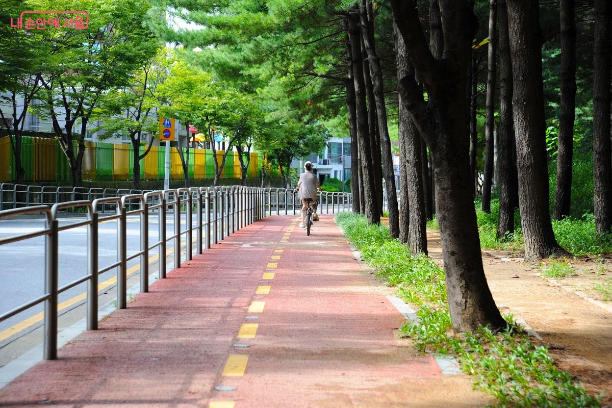 자전거전용도로와 산책로는 작은 화단으로 경계를 두었다. &copy;조수봉