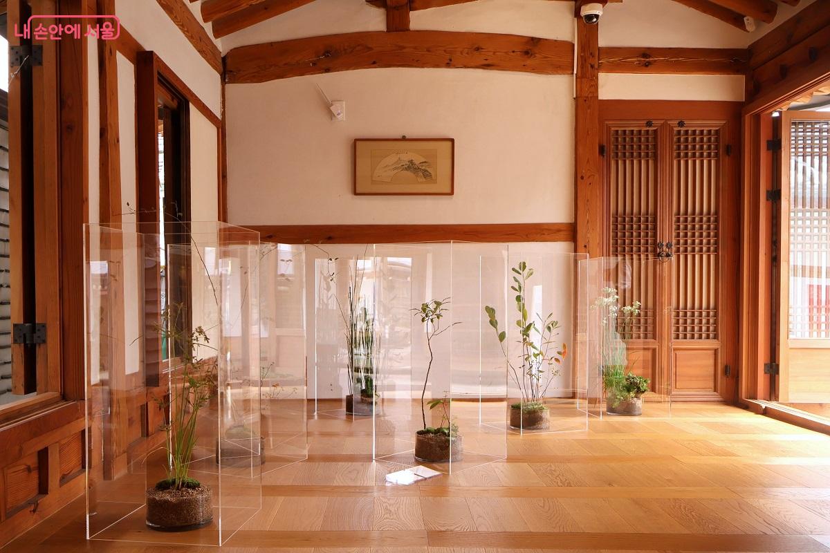 '식물도감' 아크릴 박스 안에는 우리 주변에서 자라는 식물들이 놓여있다. ©이봉덕