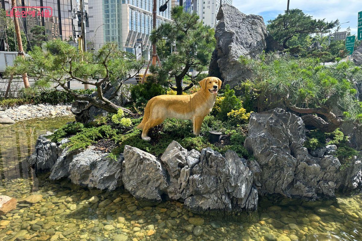 반려견이 뛰어노는 동안 주민들은 폭포의 시원한 물소리와 경관을 즐길 수 있다. ©김재형