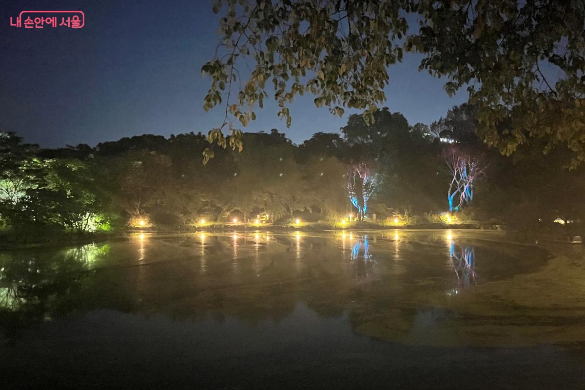 야간 조명이 켜져 아름다움을 더하는 춘당지 &copy;김연희