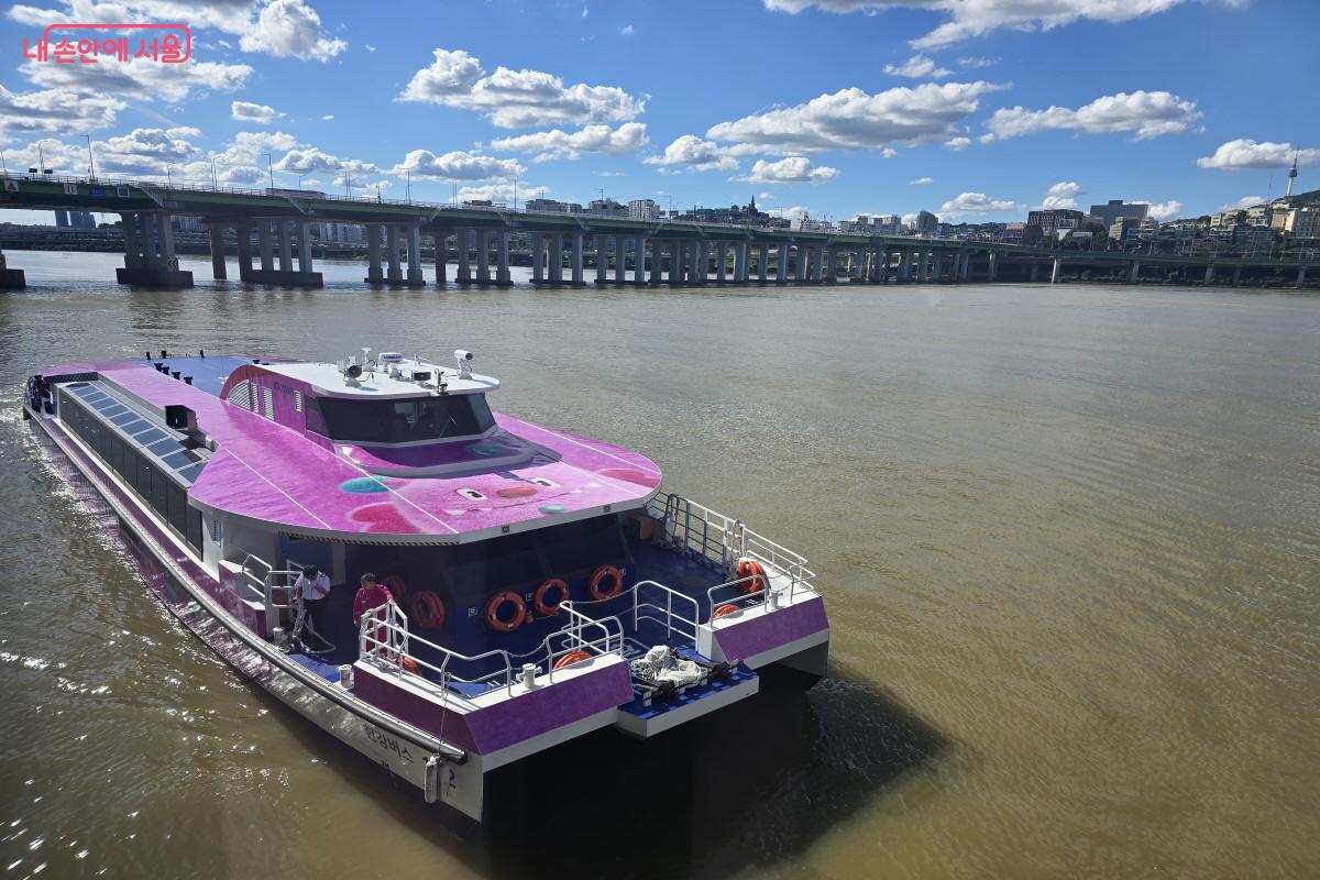 귀여운 해치가 반겨준다. ⓒ조송연