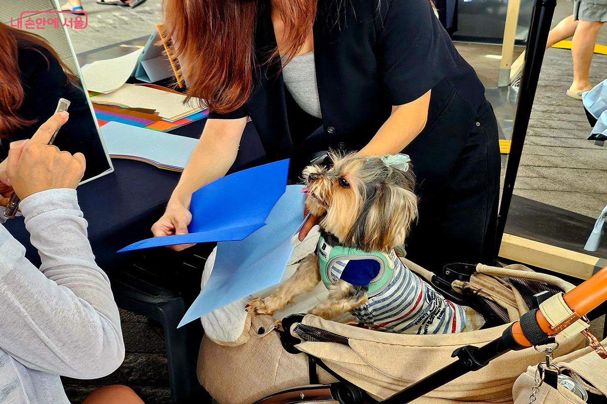 반려견의 퍼스널 컬러를 알 수 있는 ‘댕스널컬러’ ©이정민