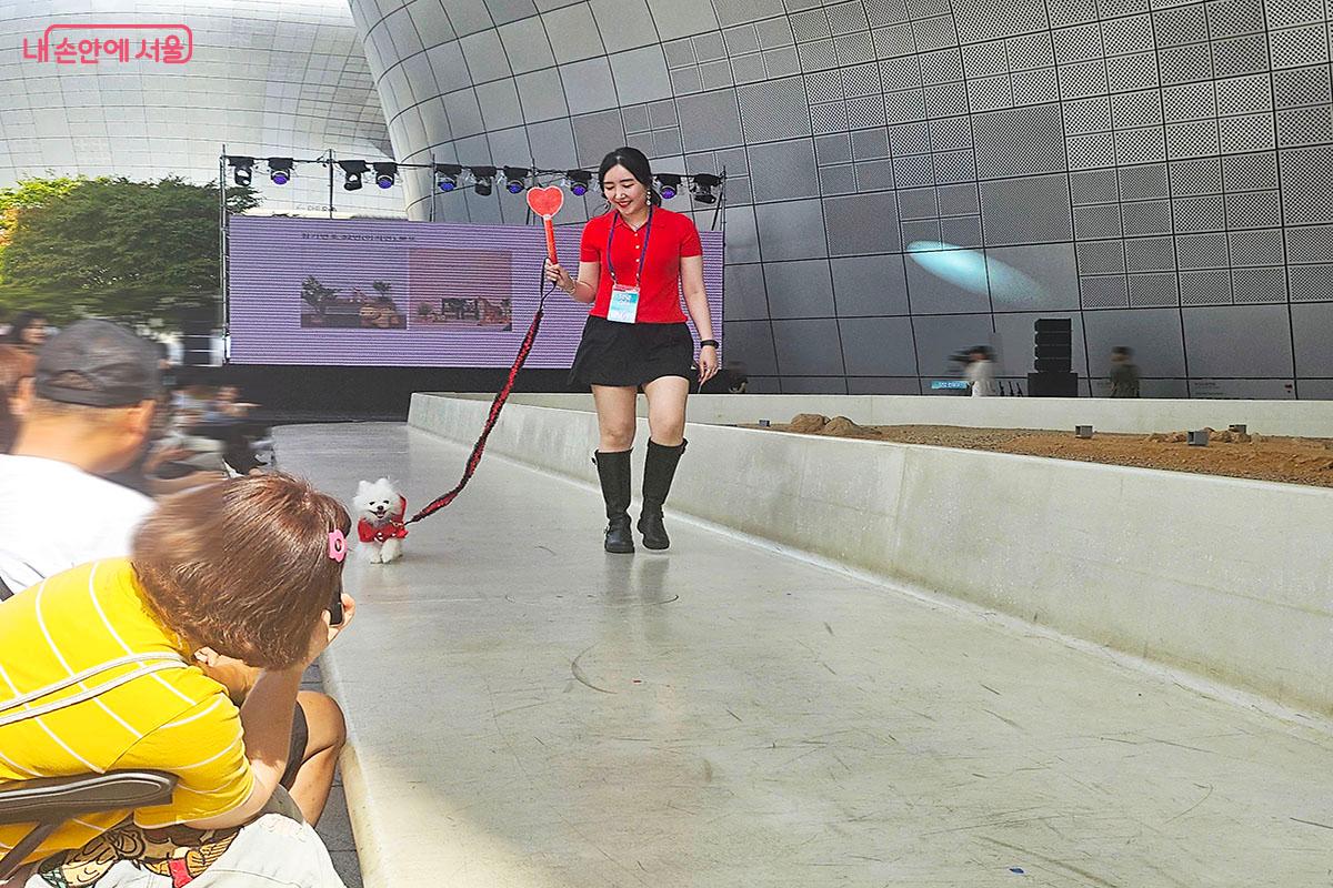 빨강과 하트로 사랑스러운 ‘댕댕스타’ 반려견과 보호자 ©이정민