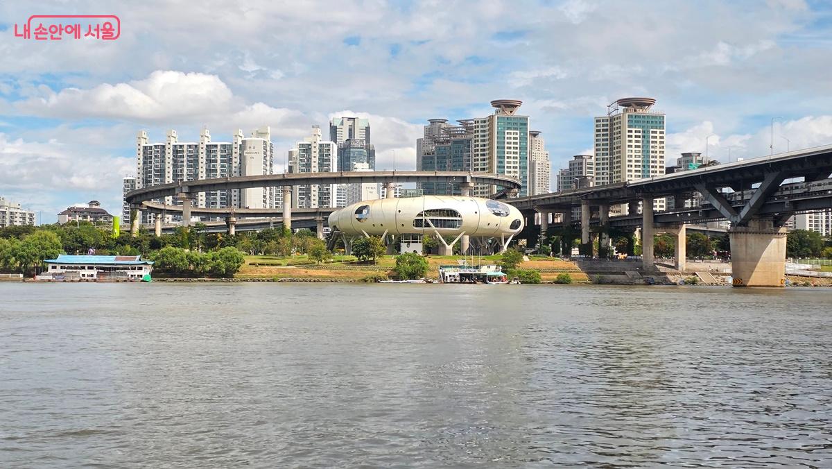 뚝섬 선착장에 도착하기 전에 보이는 뚝섬자벌레 모습 ⓒ최용수