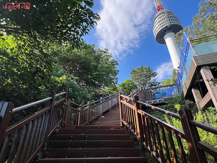 북측순환로에서 남산 정상부로 올라가는 숲길
