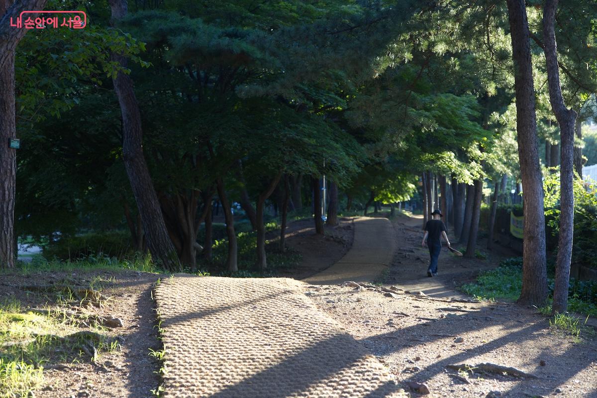 가을에는 신트리공원 주변이 단풍 명소로 변신한다. ©임중빈