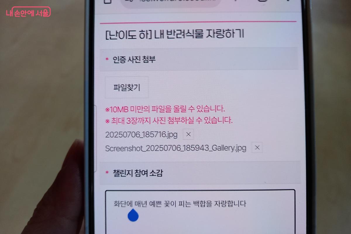 인증 사진을 업로드한다. ©박미선