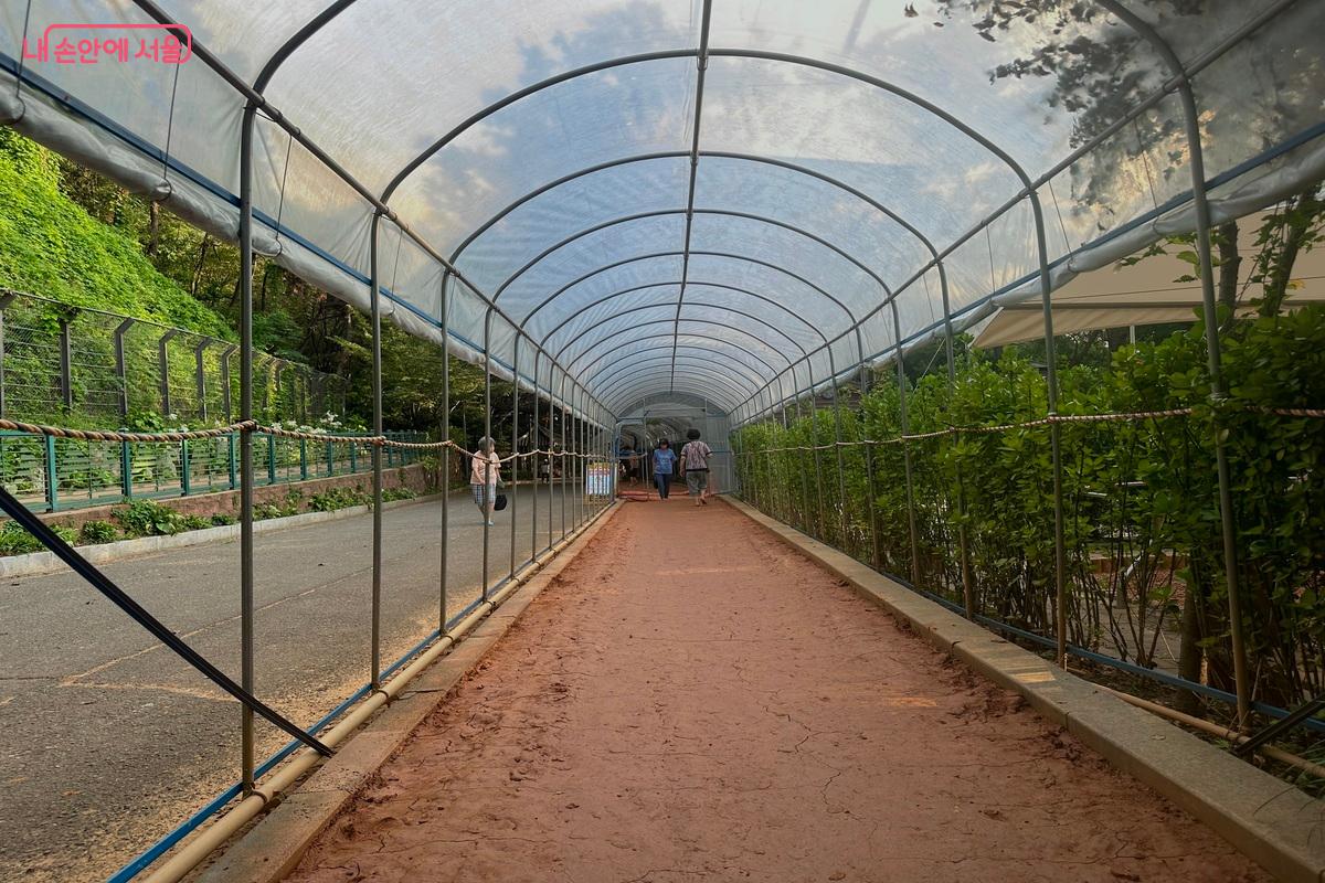 흙의 감촉을 느끼며 걷는 황톳길 ©임수영