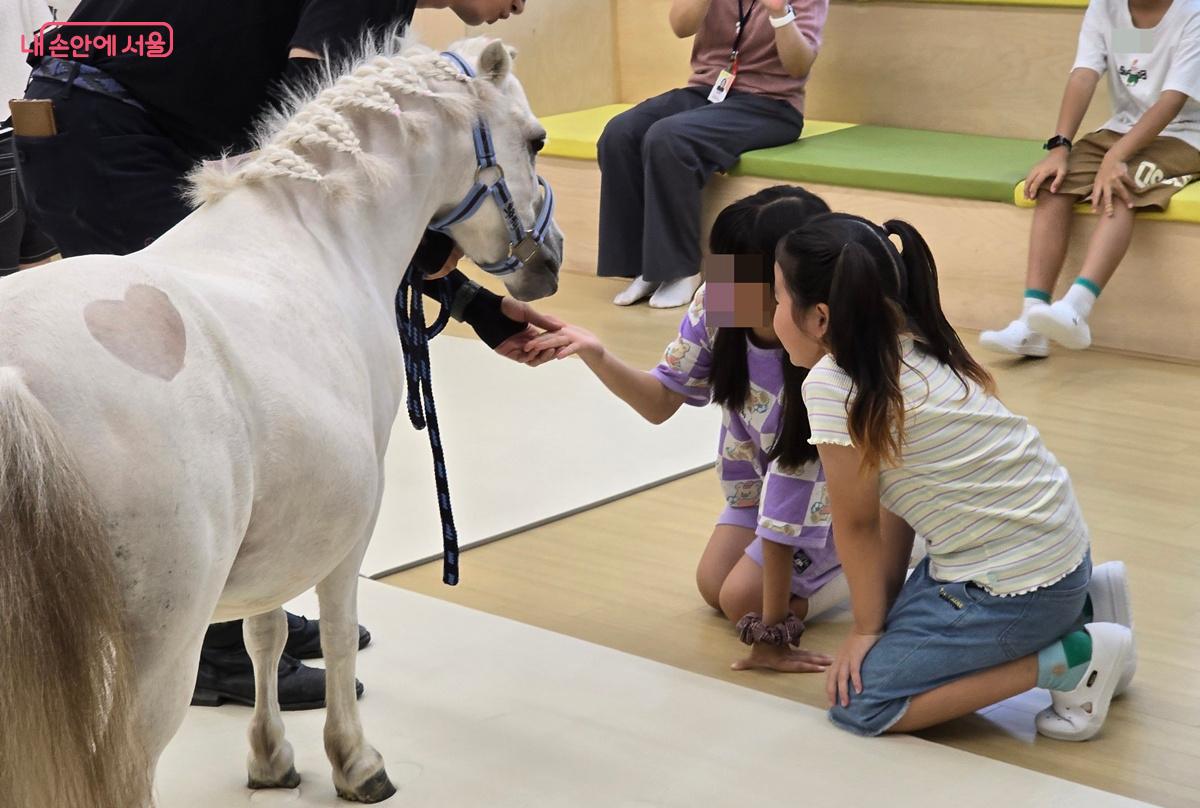 말 먹이 주기 체험을 하는 아이들 ©조성희