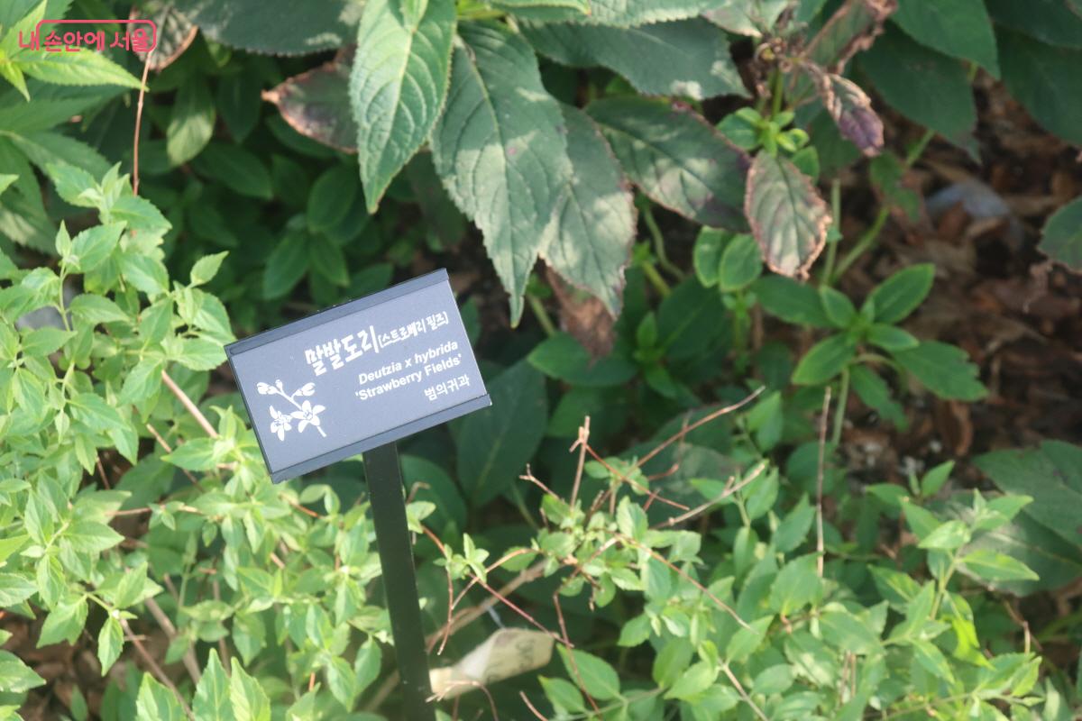 사계절의 변화를 가까이에서 느낄 수 있다. ©조송연