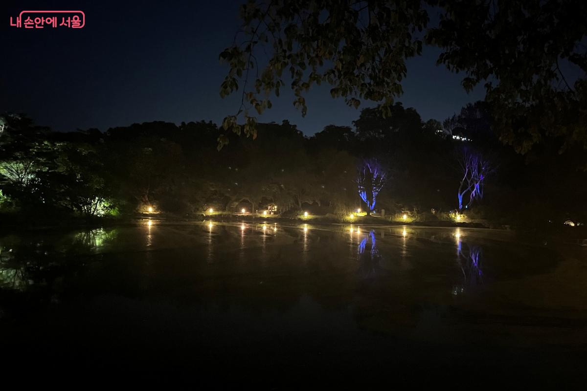 물빛이 은은하게 비치는 춘당지 &copy;김연희