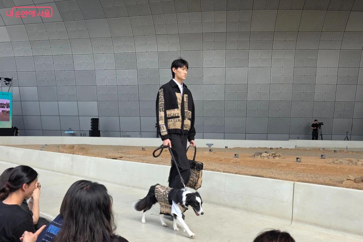 유기견의 패션쇼도 선보였다. &copy;김민지