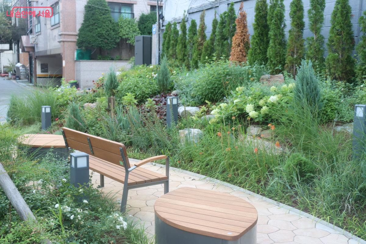 구의2동 마을정원에 식재된 꽃과 나무 ©조송연