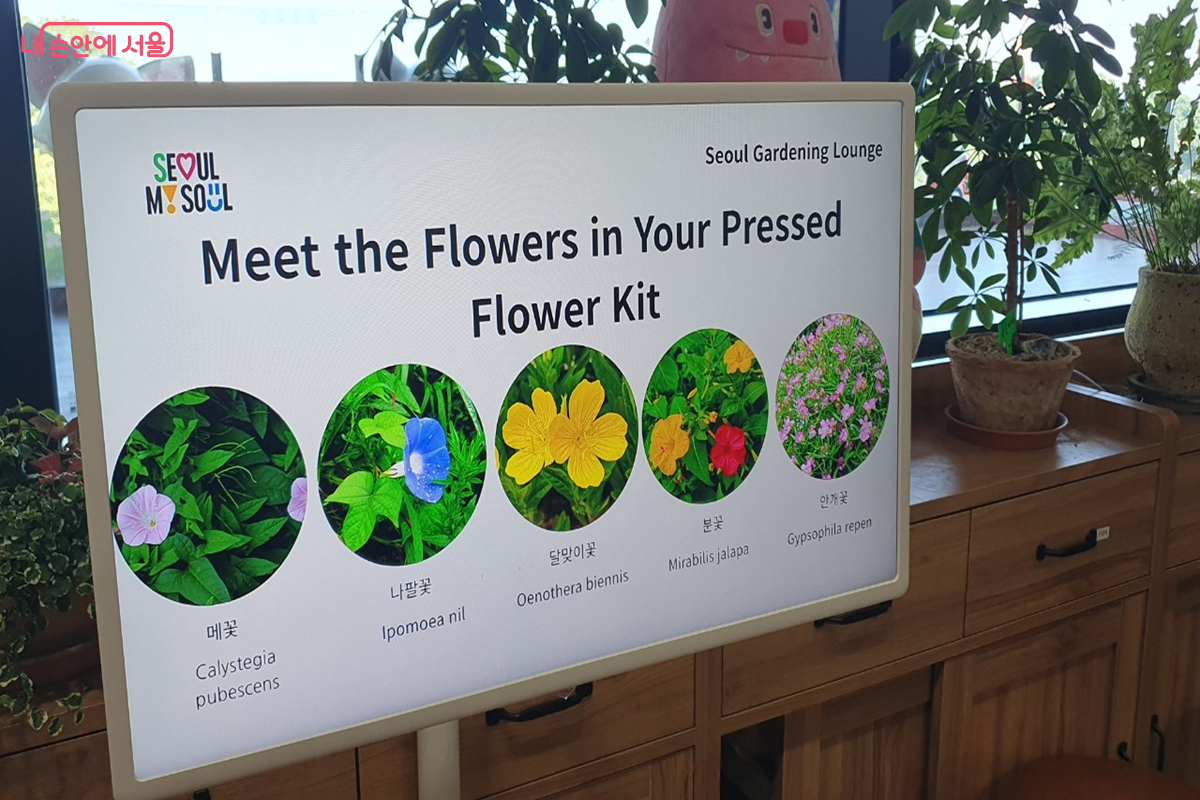 서울 주변에서 볼 수 있는 들꽃으로 소개된 꽃들 ©엄윤주