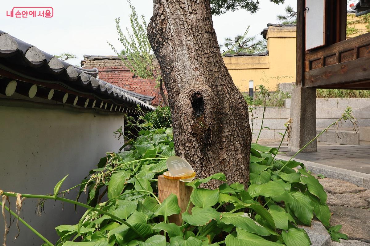 다양한 장소에서 관찰한 미기후의 흔적', 땅의 건조함, 습기, 돌의 열기, 한옥 공기의 흐름 등을 수집해 전시를 구성했다. ©이봉덕