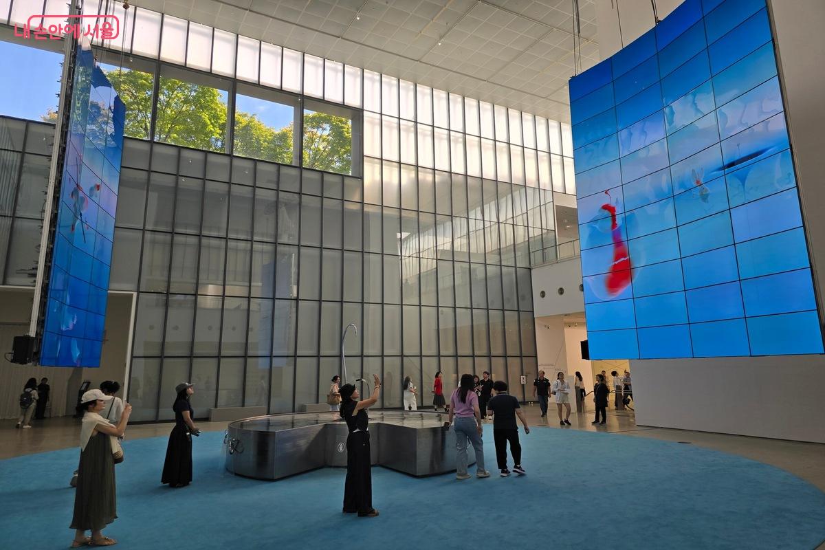 국립현대미술관은 9월 1일부터 10일까지 전관을 무료로 운영하고 있다. ©김은주