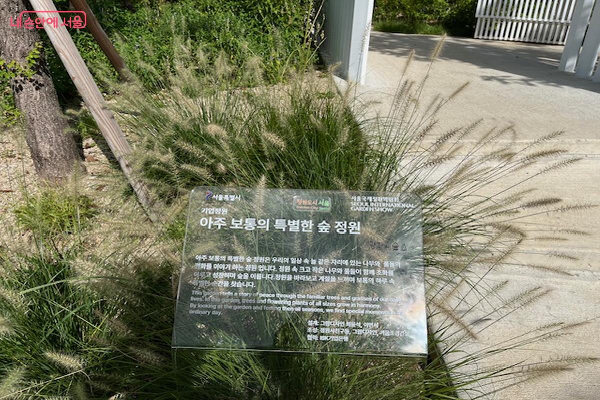 아주 보통의 특별한 숲 정원 ©조현호