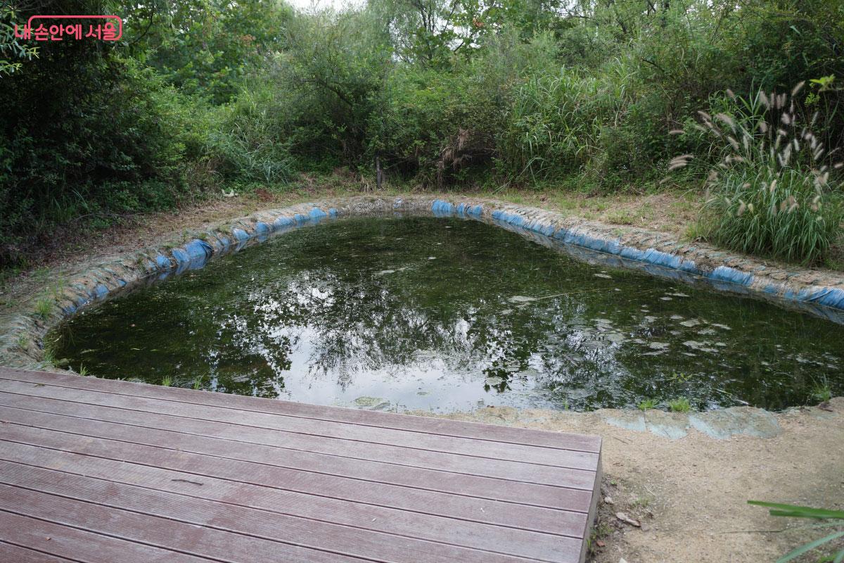  잠자리 유충이 서식하는 연못 ©홍혜수