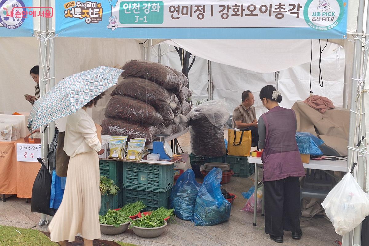 인천 '강화 오이총각'은 강화도에서 온라인으로 유명한 이재준 씨가 직접 길러 판매하는 오이로 유명한 브랜드이다. ©백승훈
