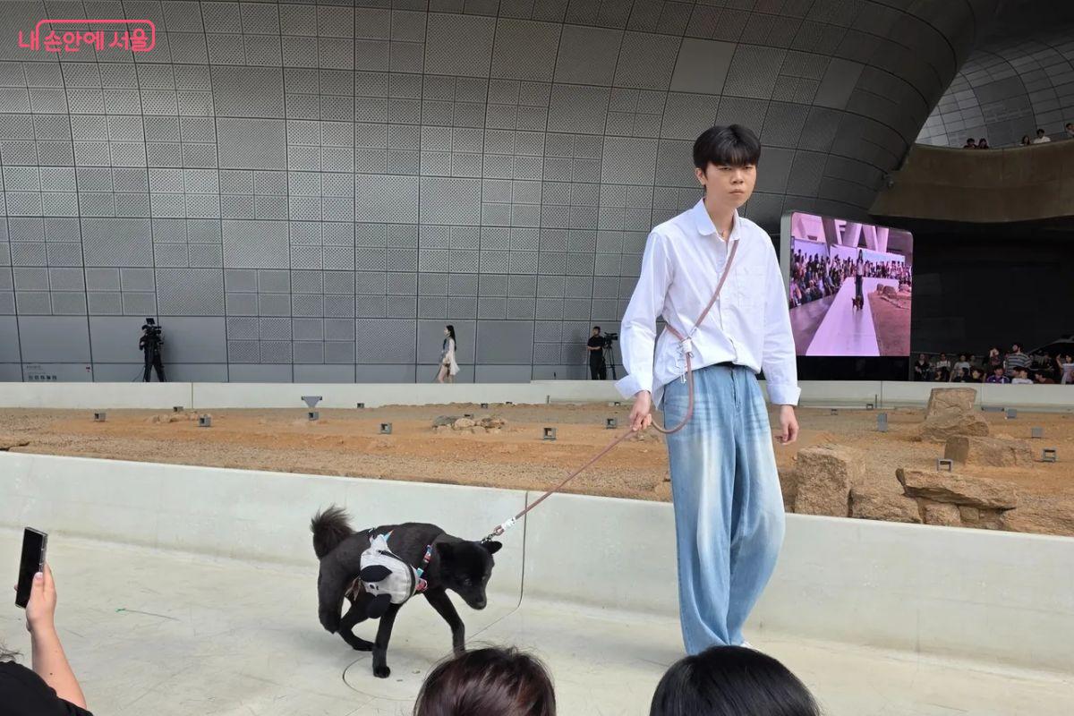 유기견임이 믿어지지 않을 정도의 수준급 워킹을 보여주었다. &copy;김민지