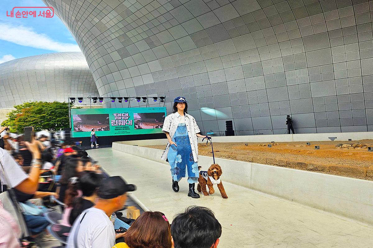 제로웨이스트 솔버톤의 의상을 입고 런웨이를 걷는 모델과 유기견(킹) ©이정민