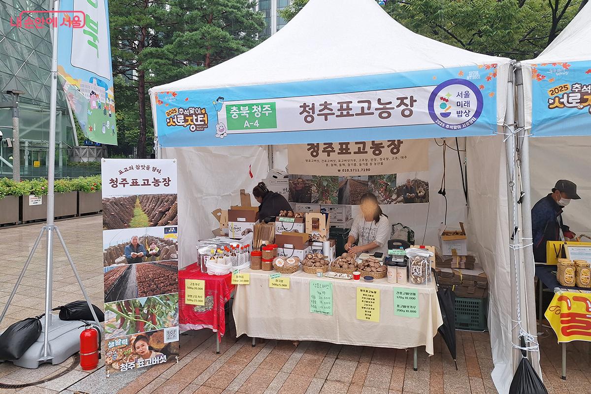 충북 청주 표고농장에서 재배한 표고버섯들은 벌목한 참나무 원목에서 전통적인 방법으로 재배되어 품질이 우수하다. ©백승훈