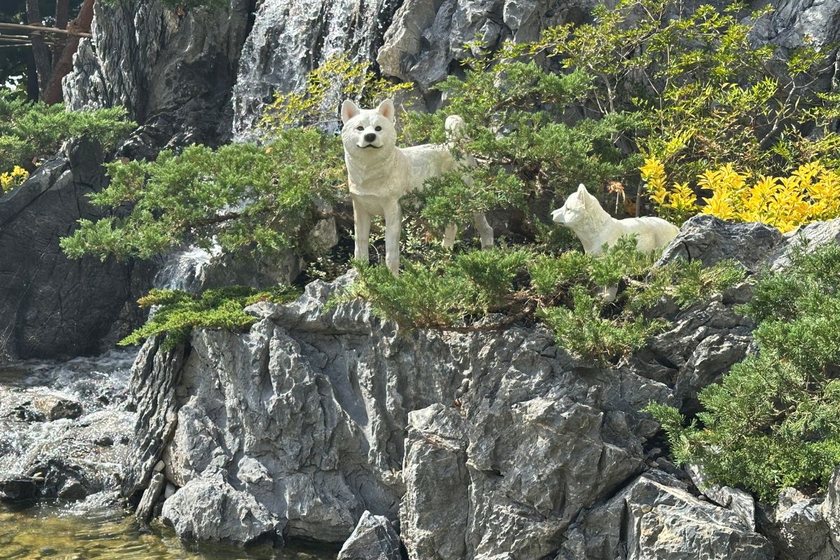강변북로 진입부에 '댕댕이 공원' 생겼다! 반려견과 작은 정원에 온 기분~