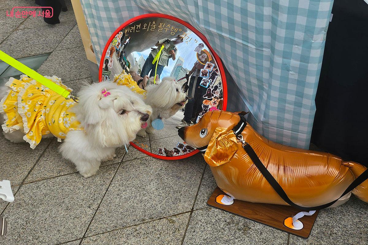 반려견과 함께 사진을 찍을 수 있는 포토존 ©이정민