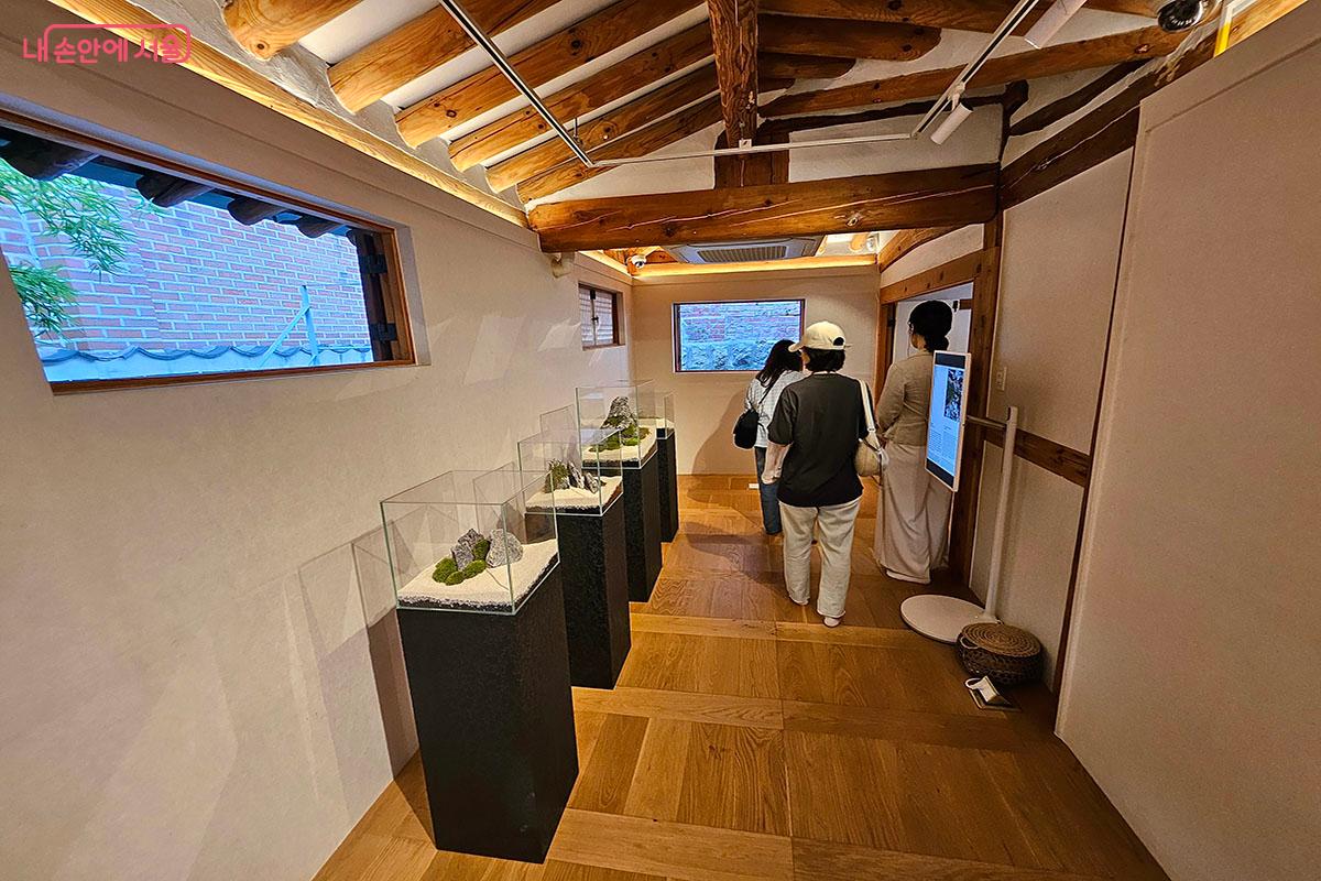 청룡석과 이끼로 한 폭의 산수화를 담은 '분경' ©이정민