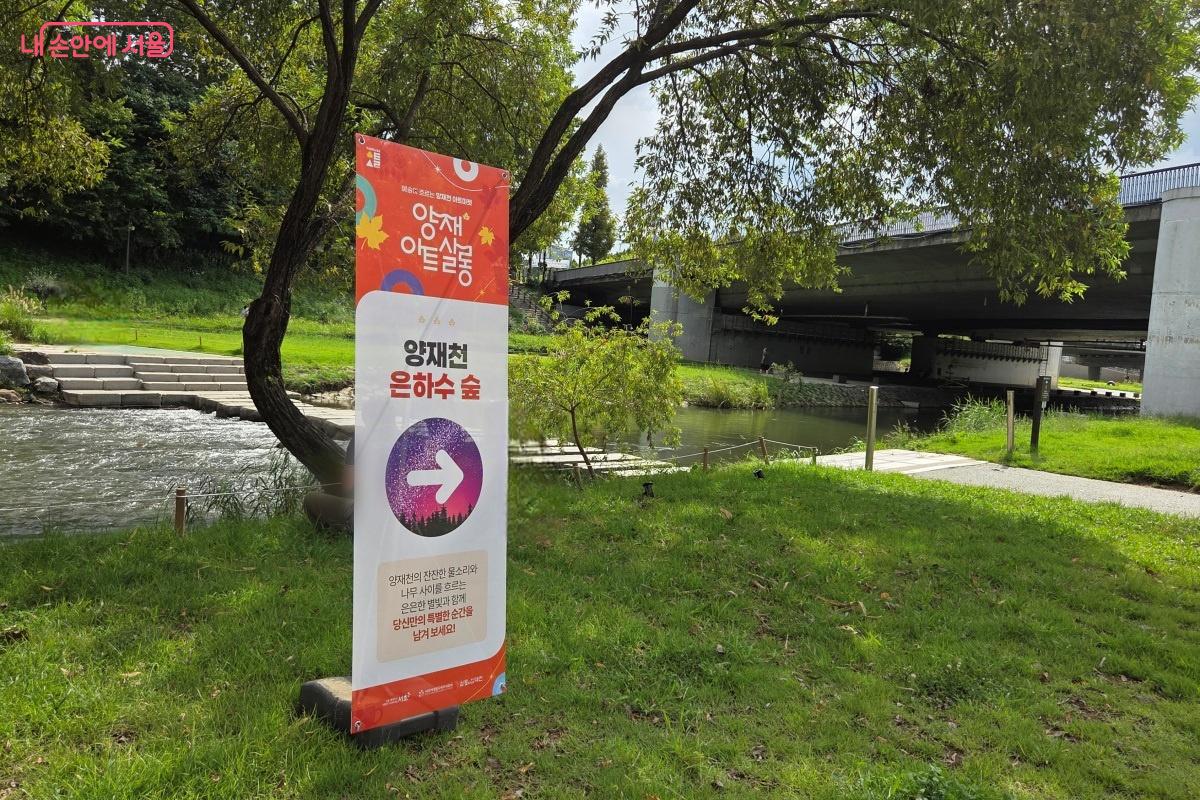 밤에 사진 찍기 좋은 '은하수 숲 포토존'도 준비돼 있다. &copy;김미선