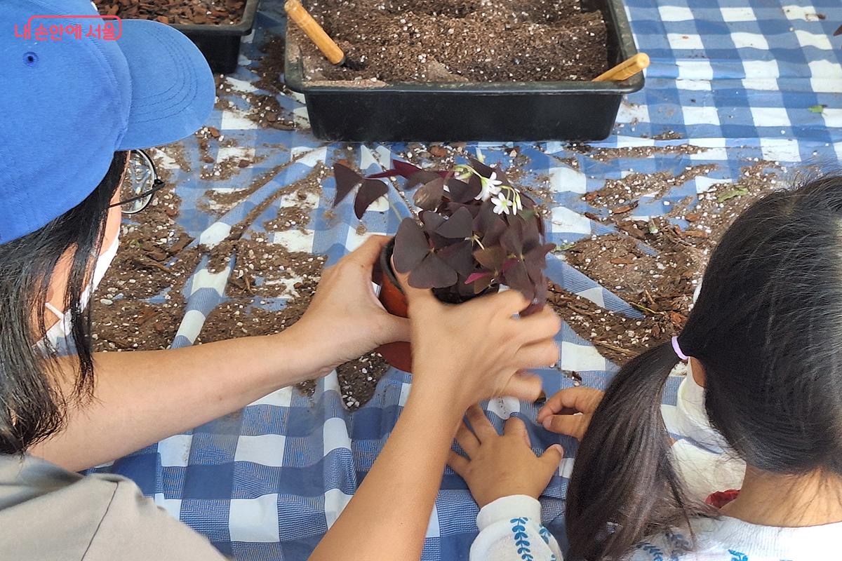정원 체험 부스에서는 ‘나만의 화분 만들기’가 참가자들의 관심을 독차지했다.