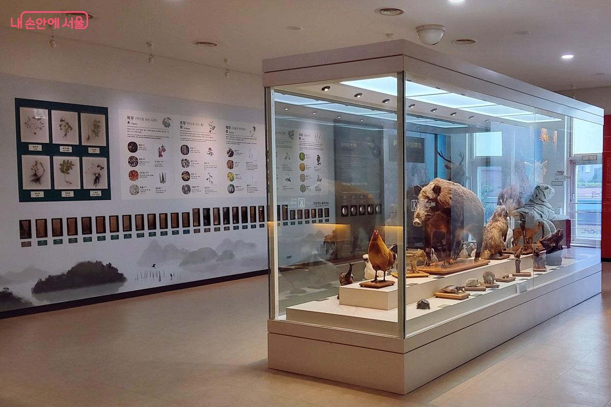 전통의학의 약재로 사용되는 동식물의 표본을 전시한 전시실 &copy;이상돈