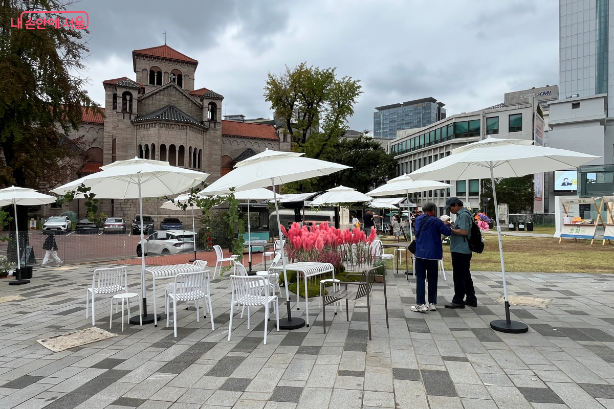 옥상 루프탑의 로컬트립 목금토 전경 ⓒ김연희