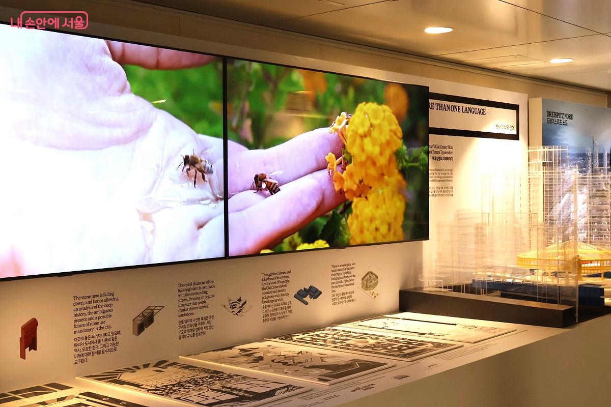 예루살렘, 브칠엘 건축대학 출품작, '하나 이상의 언어' ©이봉덕