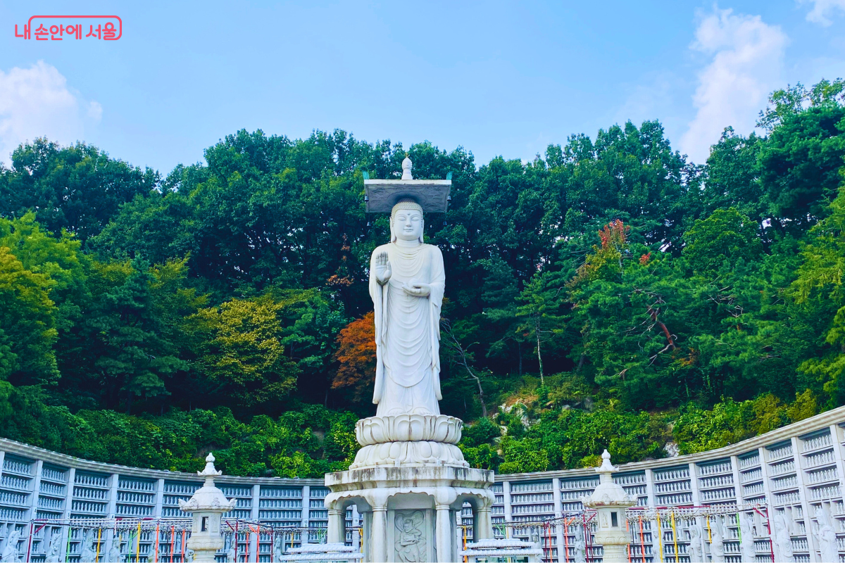 푸른 숲을 배경으로 웅장하게 서 있는 봉은사 미륵대불 &copy;양정화