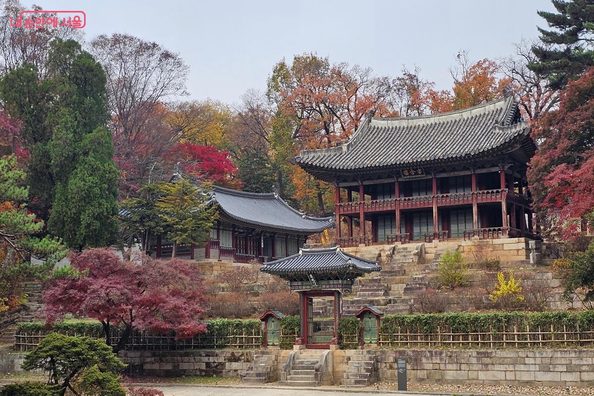 가을가을한 부용지 일원 모습 ©권연주