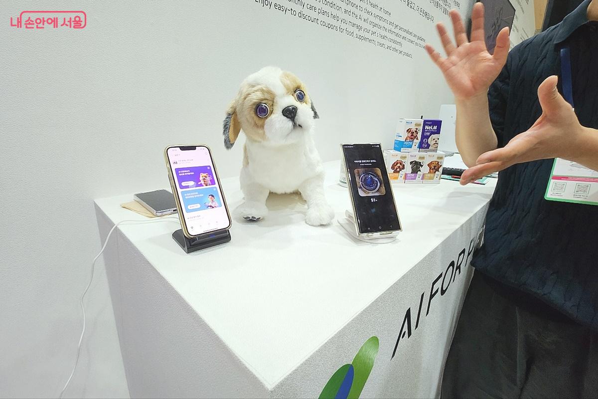 반려견의 눈동자 촬영을 통해 건강을 진단하는 앱