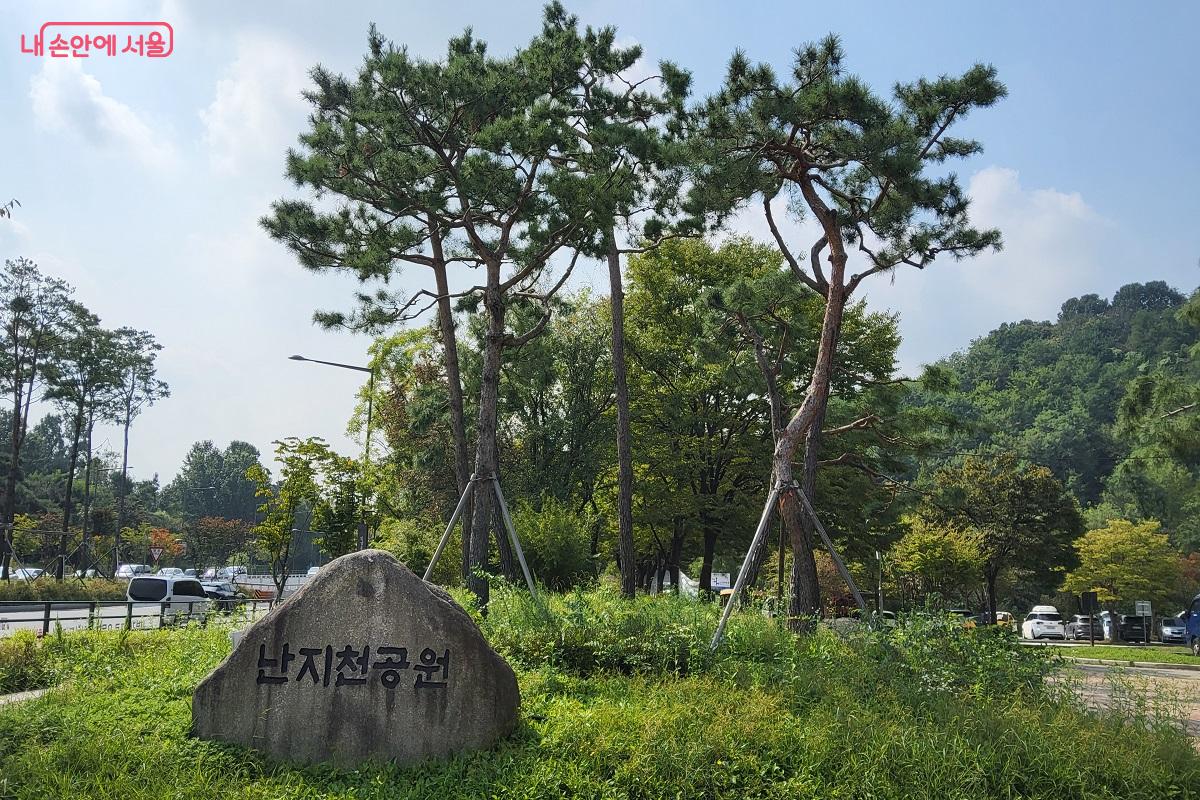 월드컵공원 메타세쿼이아길은 난지천공원 표지석에서 시작하면 된다. ©권수진