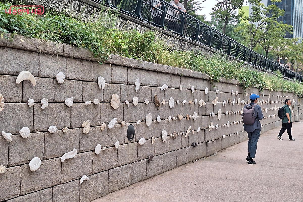 전영은 작가의 <청계초록: 눈길 손길>은 촉각을 이용한 독특한 작품으로, 자연과의 교감을 시도하는 듯한 신선한 경험을 선사한다. ©이혜숙