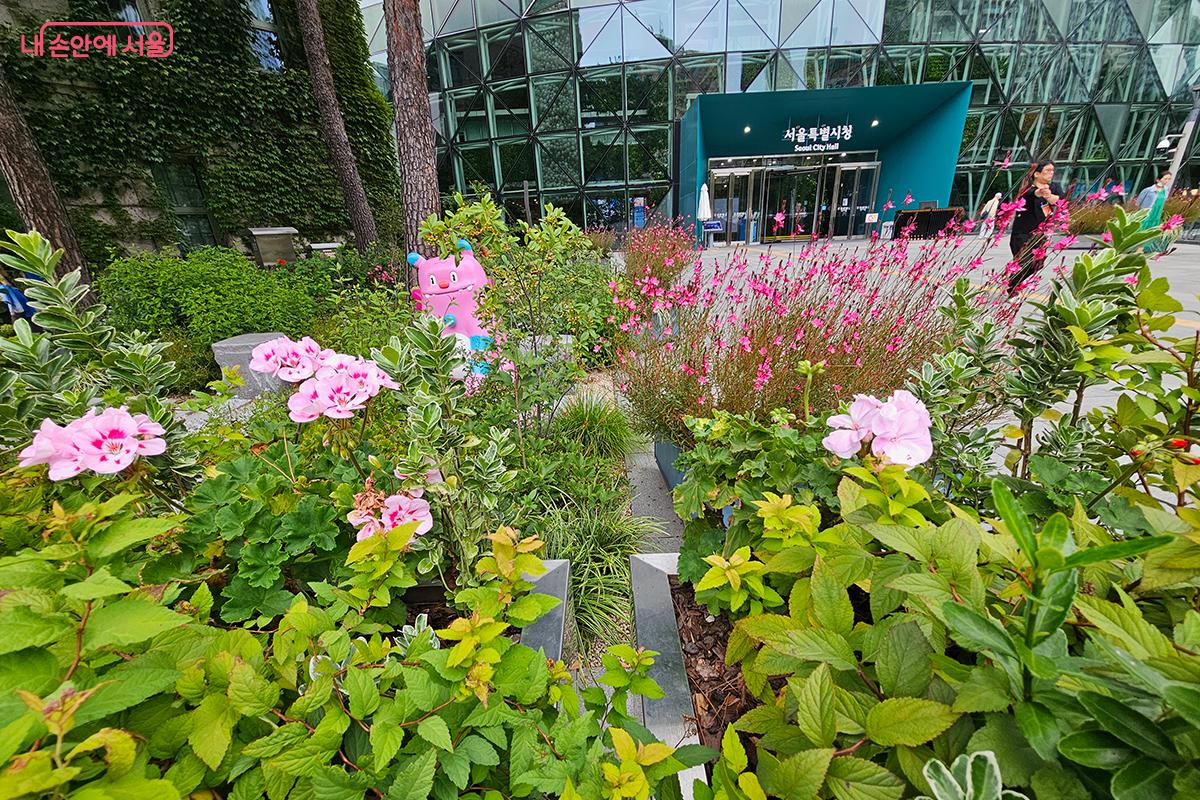 도시의 분주함 속에서도 자연이 숨 쉬는 공간, 서울시청 앞 작은 정원에서 피어난 꽃들이 마음에 고요한 여유와 따뜻한 희망을 전한다. ©이혜숙