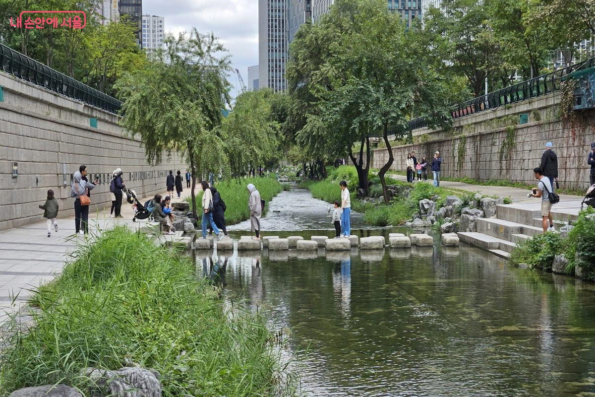 원래 물길이었던 청계천은 복원 20년이 지난 지금 자연 그대로의 모습으로 흐르고 있다. ⓒ이선미